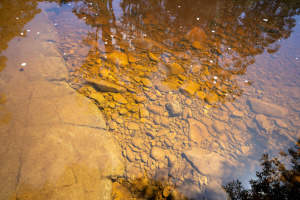 Red rocks can be seen in a stream of tannin water flowing actively.